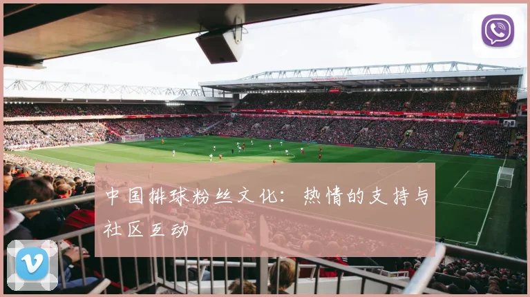 中国排球粉丝文化：热情的支持与社区互动