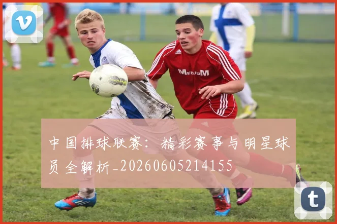 中国排球联赛：精彩赛事与明星球员全解析_20260605214155